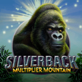 silverback multiplier mountain